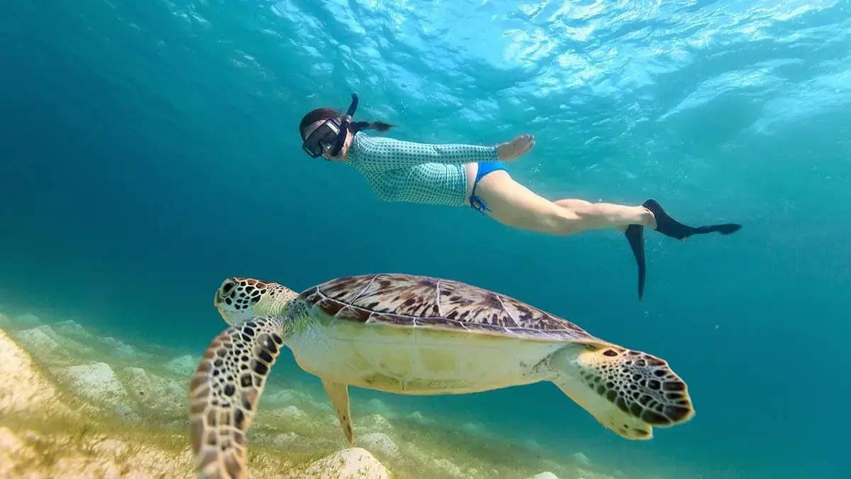 Snorkeling at Cano Island Costa Rica
