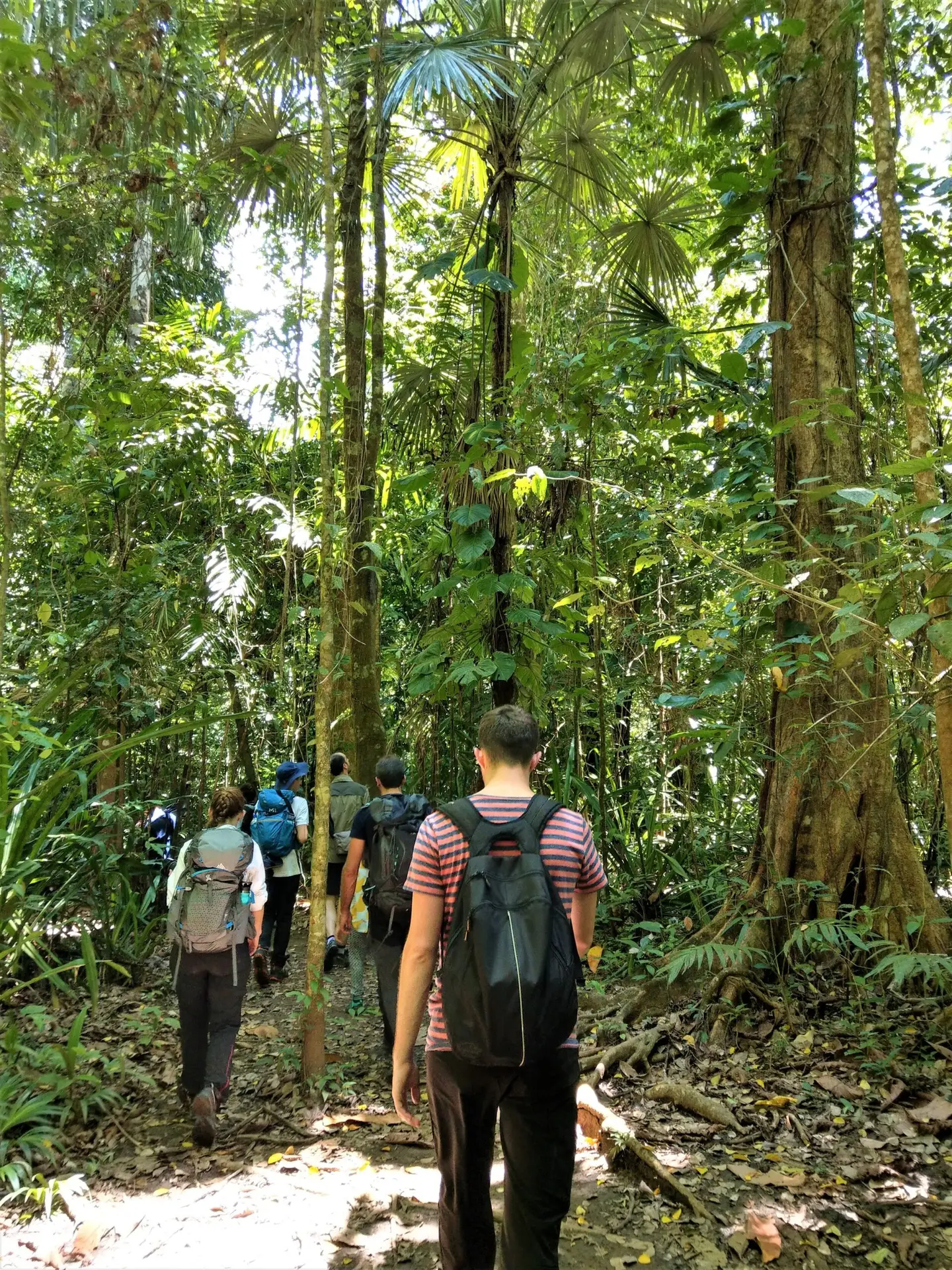 Hiking at Sirena Station