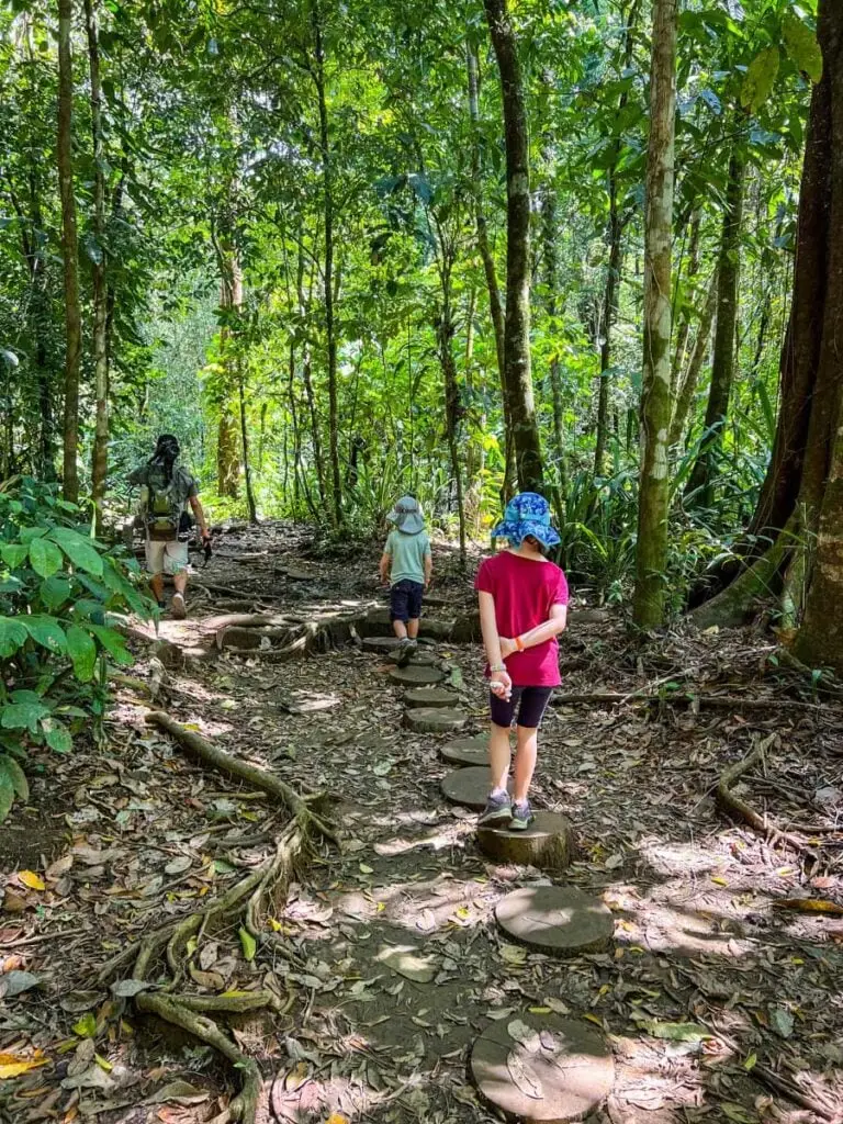 Family-friendly jungle tour in Corcovado Costa Rica