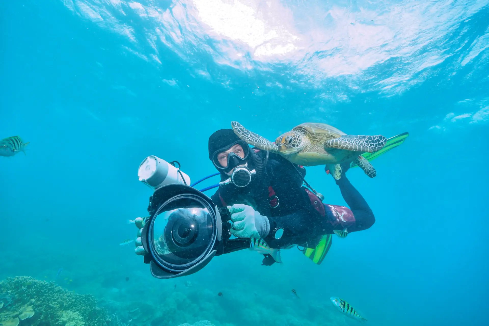 Cano Island scuba diving tour Costa Rica